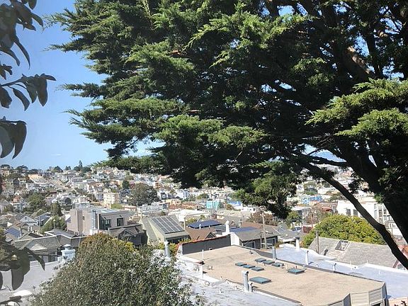 More views from the back deck.