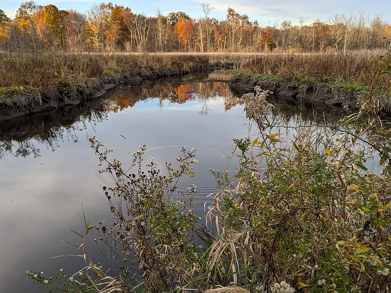 The Ramshorn Preserve is an incredible place to hike or walk and is five minutes from the apartment!