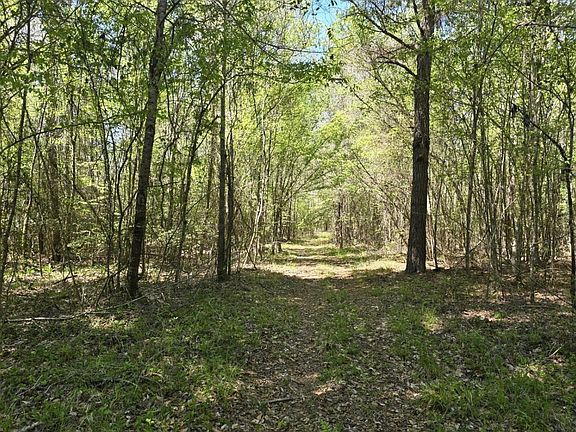 2nd image of Right Side Of 0 Co Rd #337