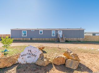 78 Wolfberry Dr, Pleasanton, TX 78064
