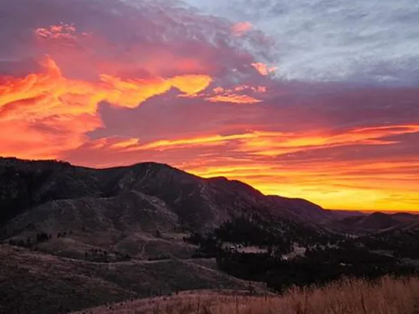 1013 Paradise Park Rd, Bellvue, CO 80512