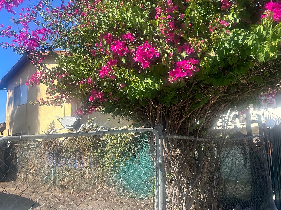 1st image of 4231 42nd St #B