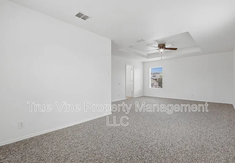 136 Texas Mulberry — Photo 13