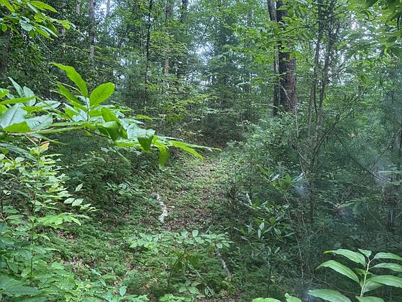 3rd image of 0 Camp Creek Estates Dr