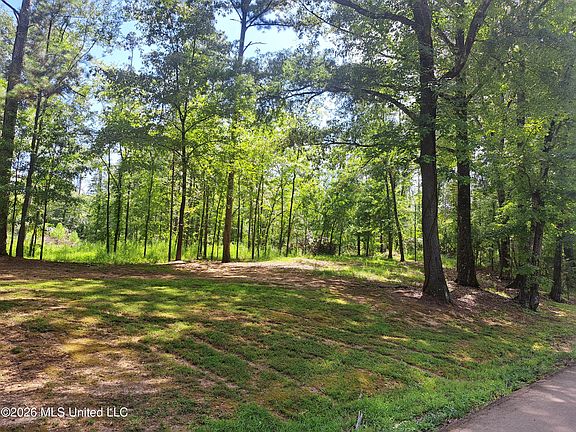 4th image of 12 Oaks Trce