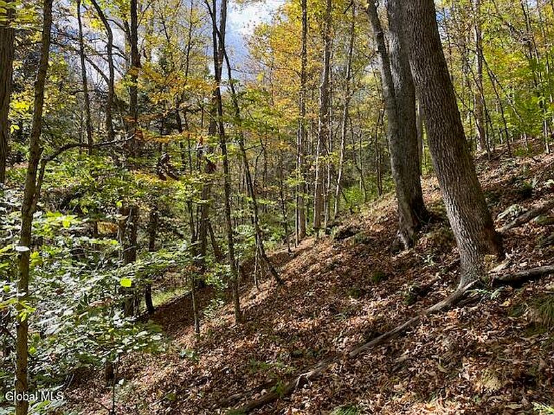 2nd image of 140 Stonewall Path