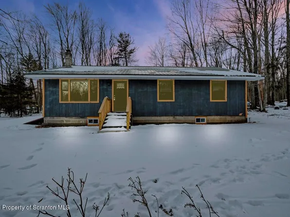 71 Sandy Beach Rd, Clifton Township, PA 18424