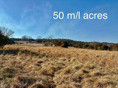 000 County Road 900 #Tbd, Theodosia, MO, 65761