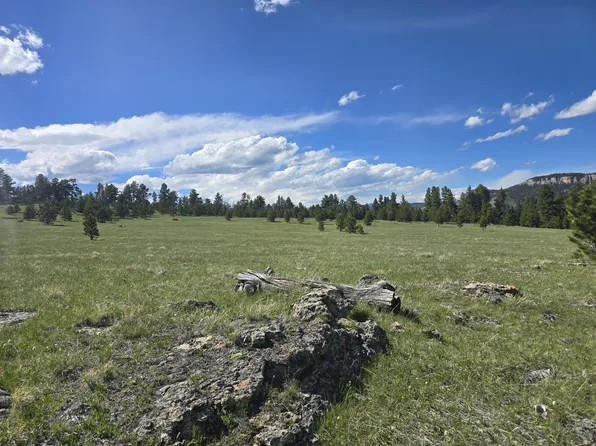 Yarrow Ln, Buffalo, WY 82834