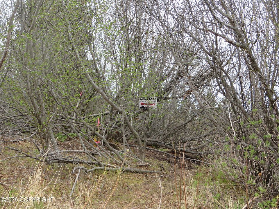 2nd image of L3 Sterling Hwy