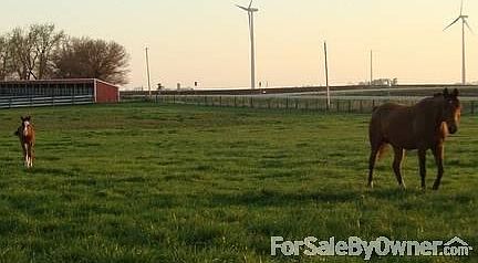 2nd image of 14870 Us Highway 65