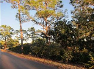 1452 Dogwood Dr, Saint George Island, FL 32328