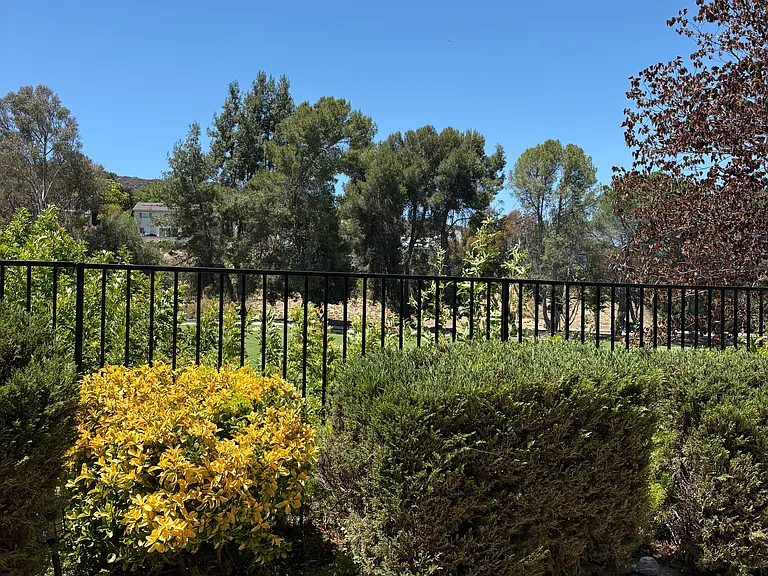 4292 Silverado Dr — Photo 33