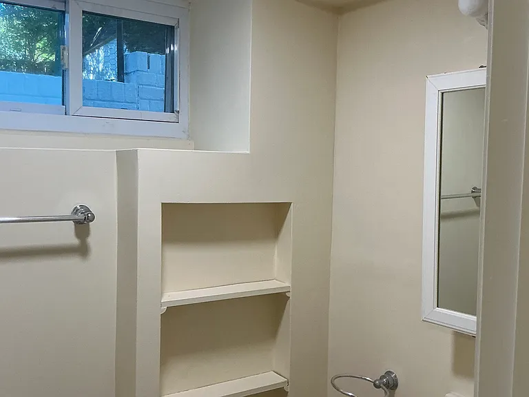 bathroom basement