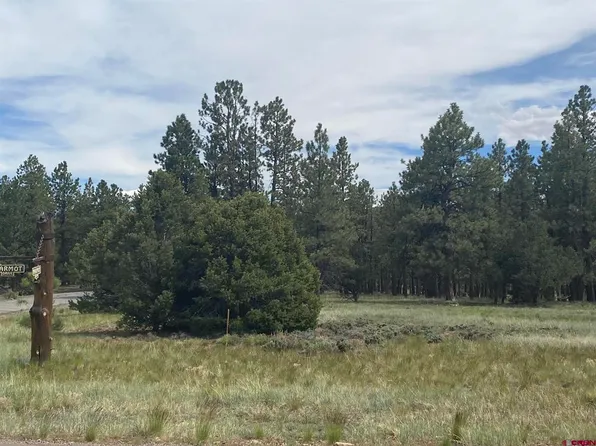 18 Marmot Drive, Ridgway, CO 81432