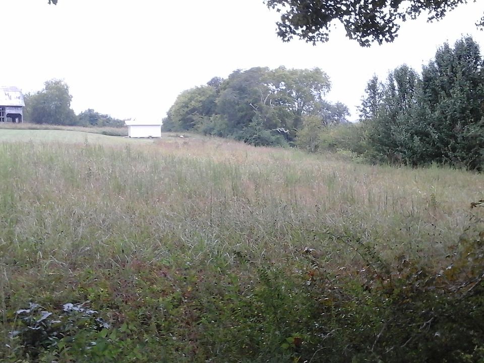 2nd image of 0 Highway 39 W Lot 3