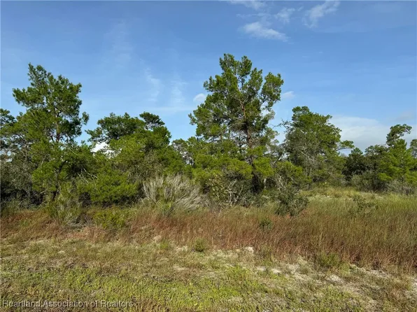 311 Capri Dr NE, Lake Placid, FL 33852