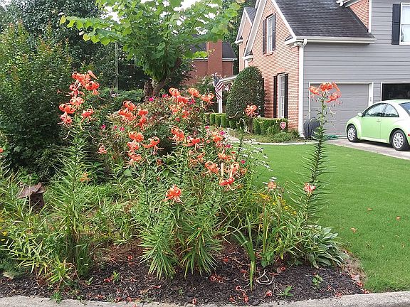 beautiful landscaping