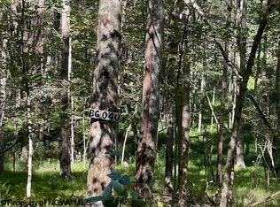 40 Bobolink Dr, Terra Alta, WV 26764