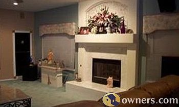 Fam Rm Gas or wood FirePlace
