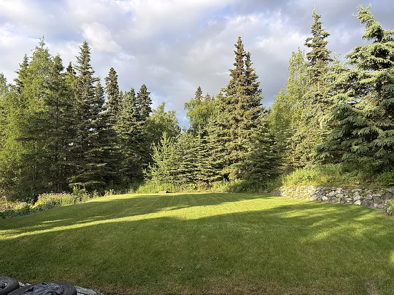 9988 Main Tree Dr — Photo 25