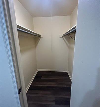 3rd image of 2655 Sweetgum Ln #10811299