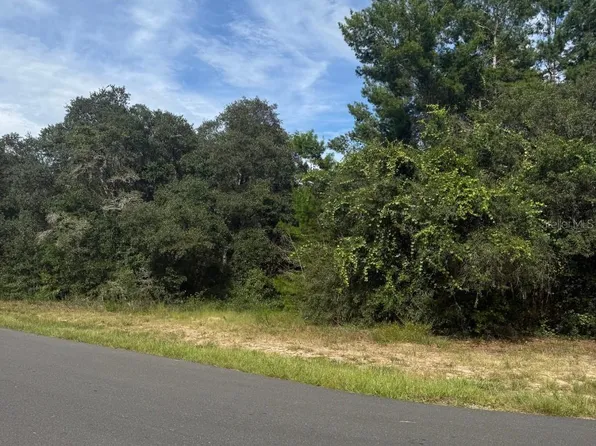 1721 E COLFAX LANE LOT 16, HERNANDO, FL 34442