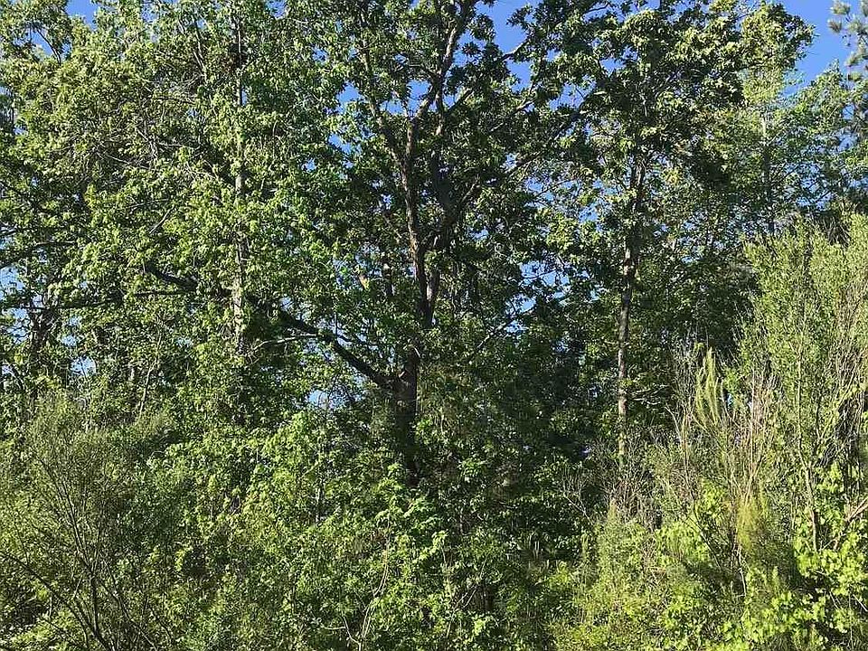 1st image of 128 Pintail Lake Dr Lot 96
