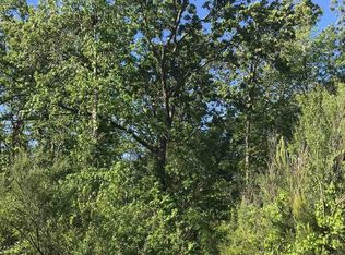 128 Pintail Lake Dr LOT 96, Gilbert, SC 29054