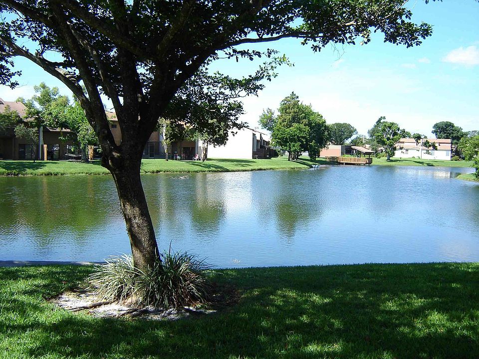 Lake view from the living room