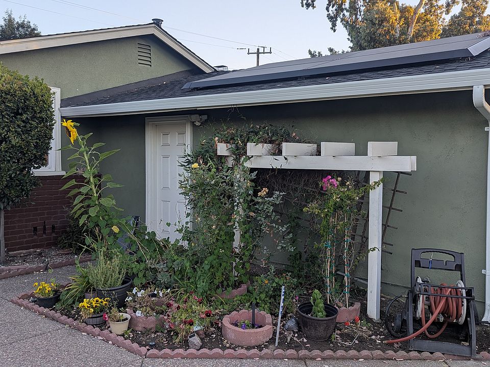 Front yard with flowering plants
