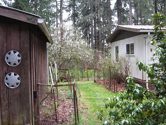 Gardens, fruit trees