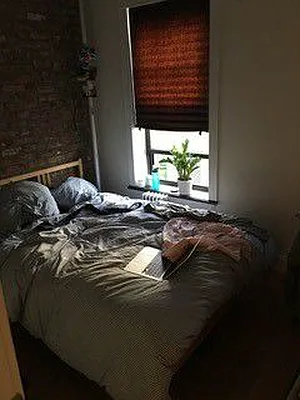 Rented by Tri Boro Terrace Realty | media 17