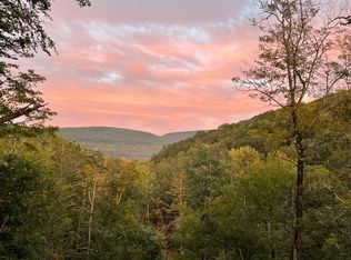 34 Woodland Clove Rd, Phoenicia, NY 12464