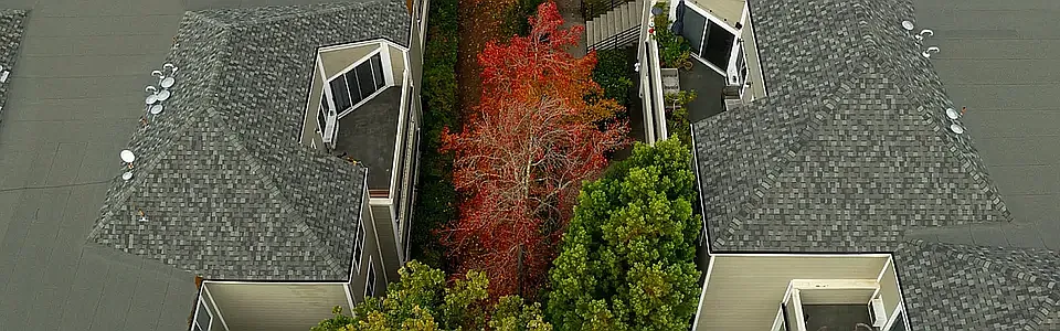 Deer Park Apartments - 95-99 Professional Center Pkwy