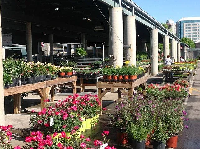 The Nashville Farmer's Market is also open daily..with many restaurants, vendors, and fresh produce.