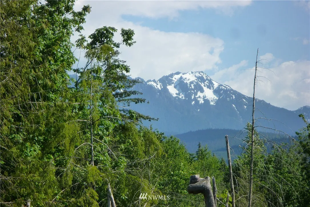 9999 Lower Elwha Road Lot1 photo 1