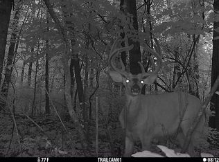 State Road 96, Hortonville, WI 54944