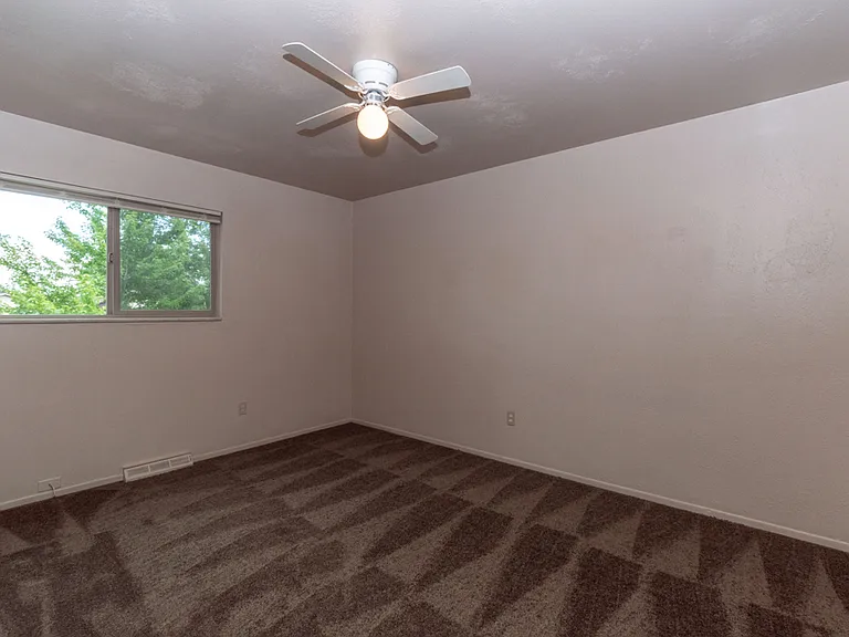 6674 Braun Ct — Photo 11