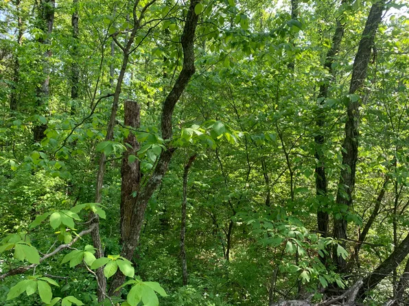 0 Pea Ridge Rd, Wallingford, KY 41093