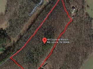 40 Copperas Branch Rd, Leoma, TN 38468