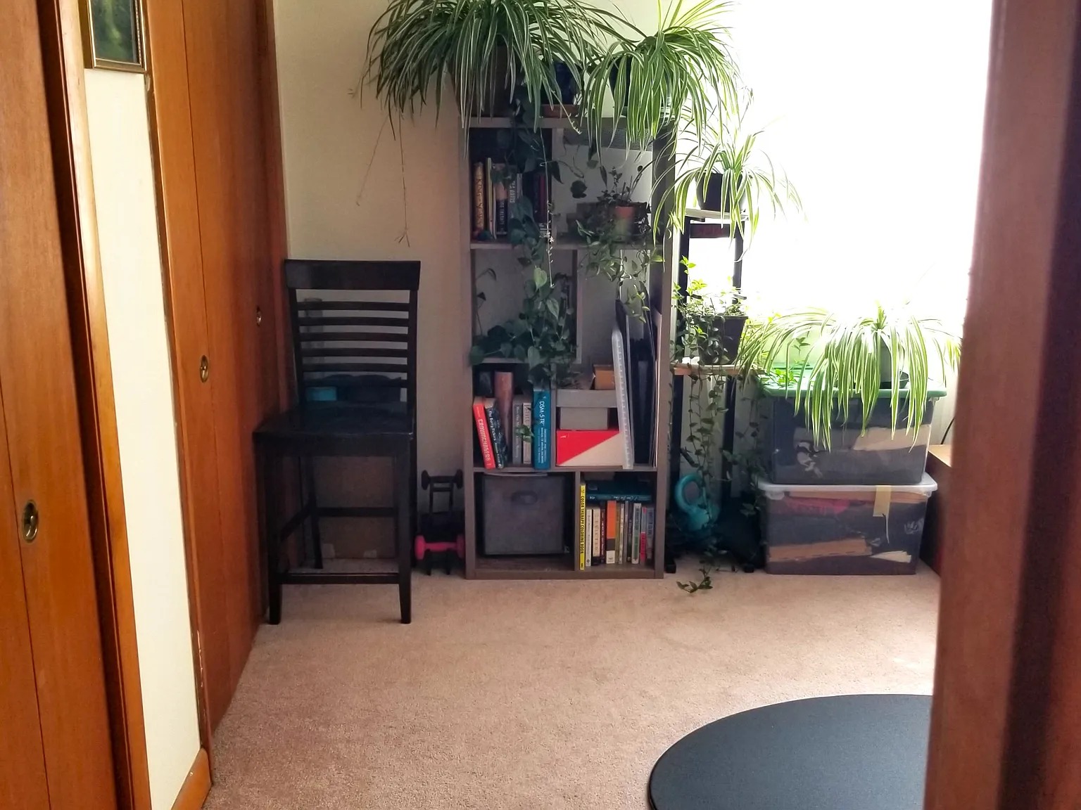 2 bed, 1109 sqft, $2,700 — Photo 3