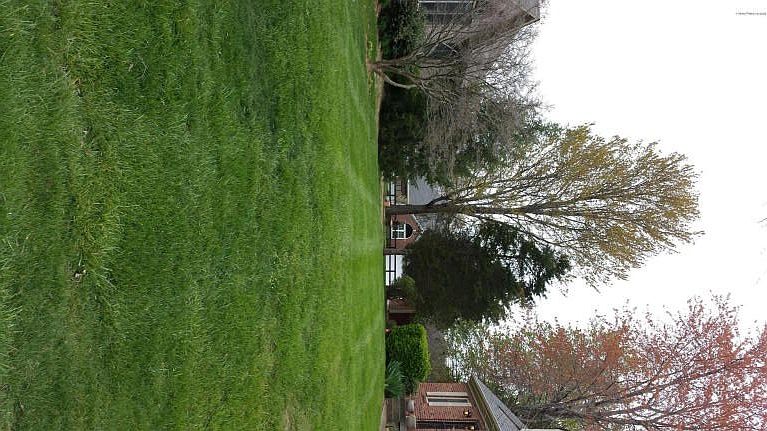10310 Amberwell Park Rd.