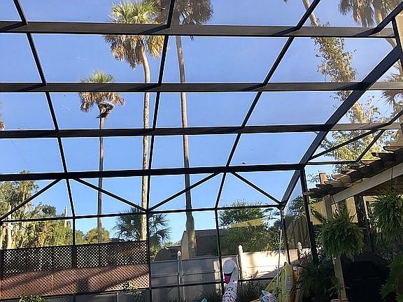 4th image of 2933 Needle Palm Dr
