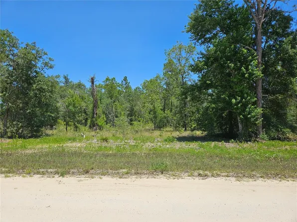 SE 26th St Lot 11, Morriston, FL 32668