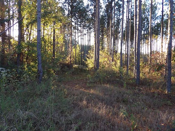 5th image of 6432 Lee Road 158