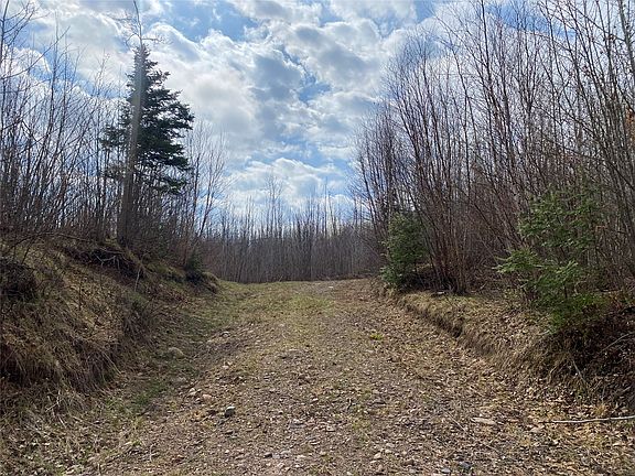 4th image of Near Wilson Lake Road