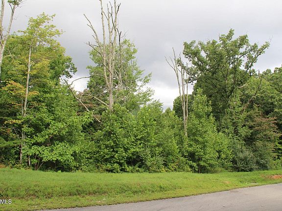 5th image of LOT 56 W Poplar Ln