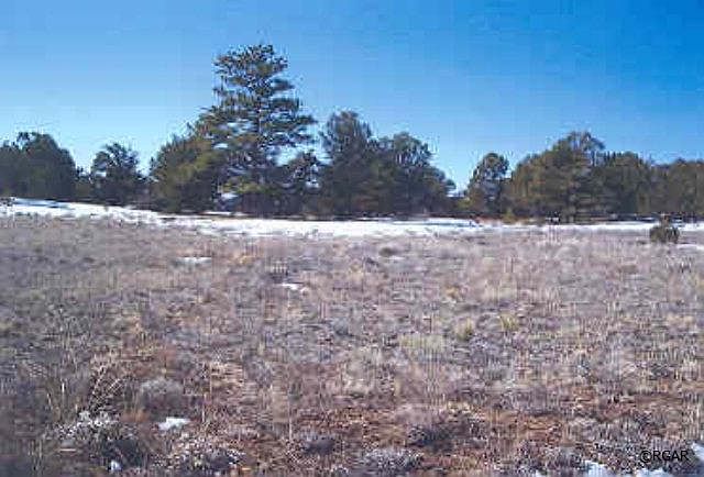 1st image of 434 Navajo Dr