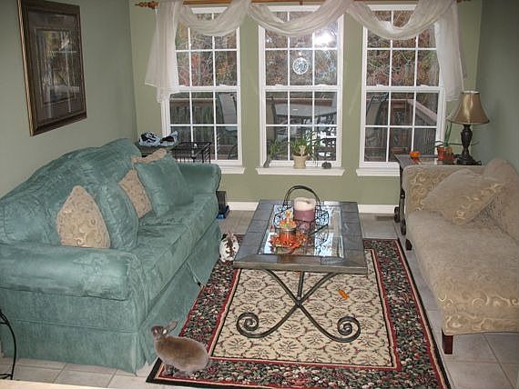 Sunroom (Bunnies not Included!)